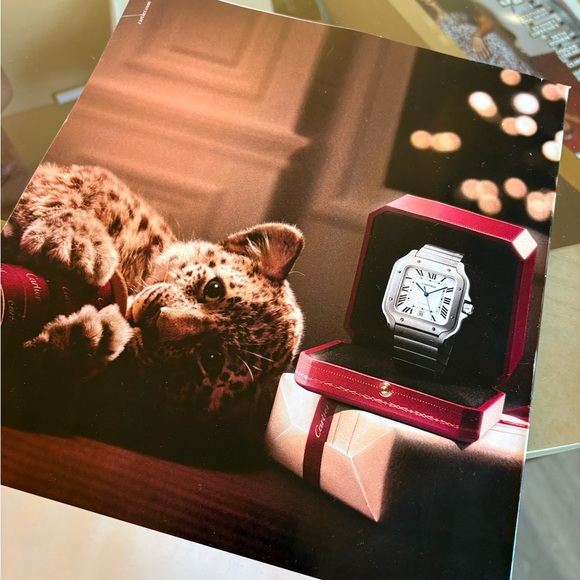 Acquire magazine, the meaning of life bowen Yang - Picture 6 of 8